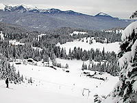 The runs at Wildensee